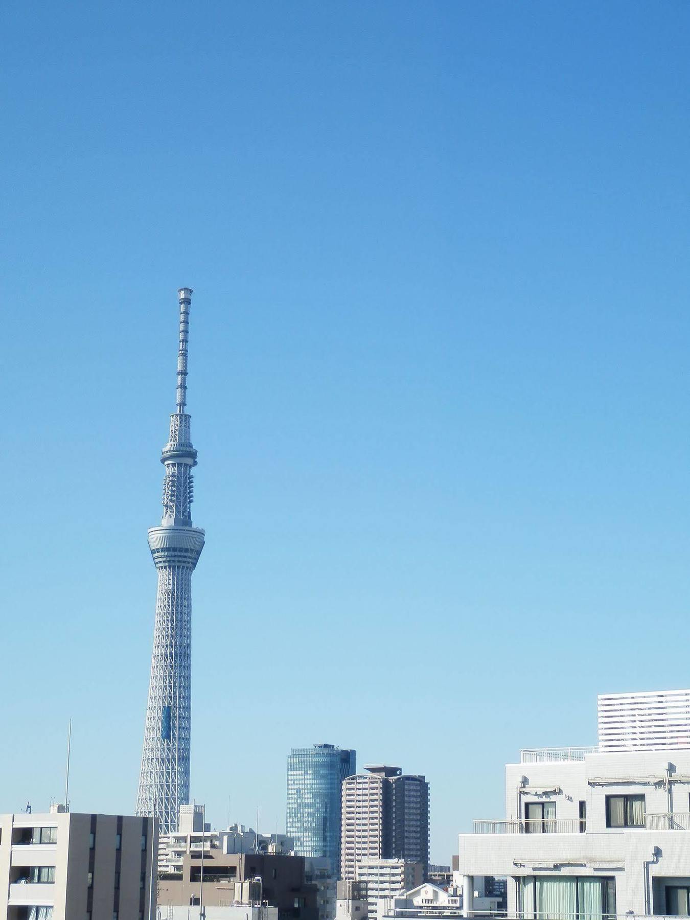 Excel City Hotel Kameido Токио Экстерьер фото